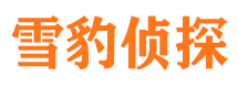 矿区市侦探公司